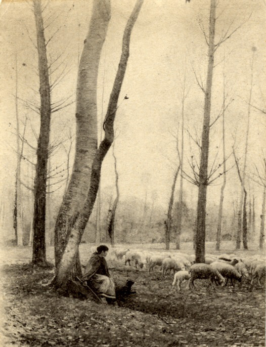 Fin Novembre ; Effet d'automne (autre titre)